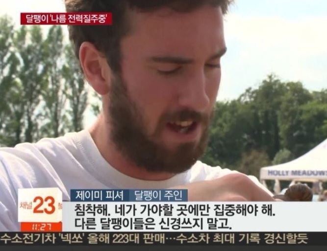 데이브런치 이미지