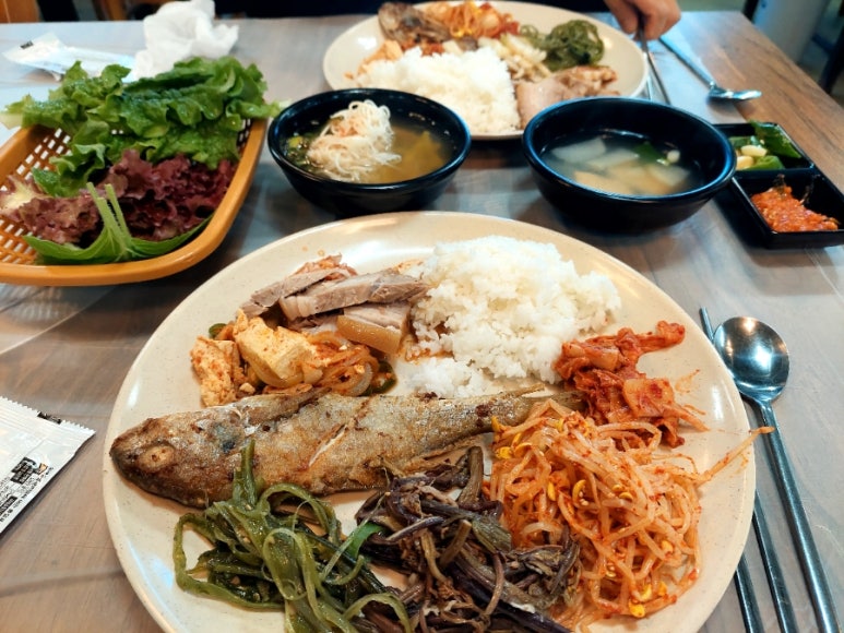 초원도야지 이미지