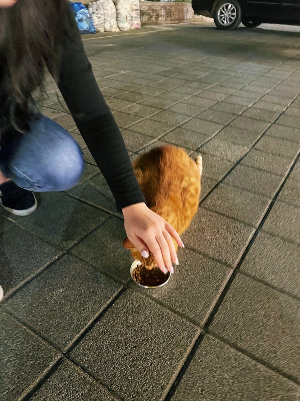 대천치킨 이미지