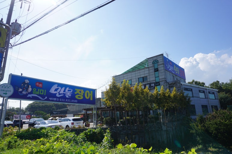 일미민물장어 이미지