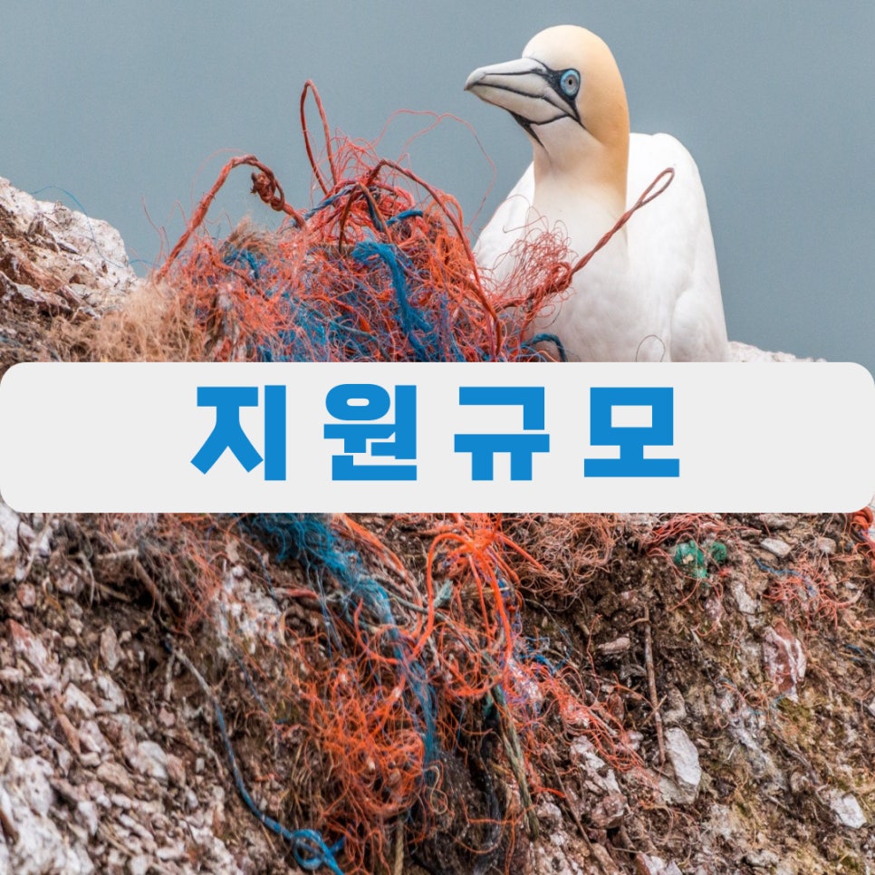 건어물/젓갈소매업 이미지