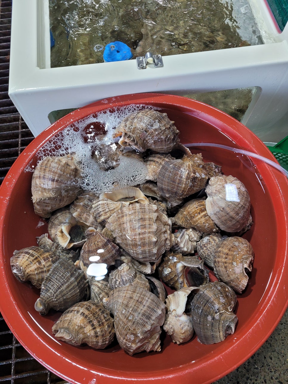 누리수산 이미지