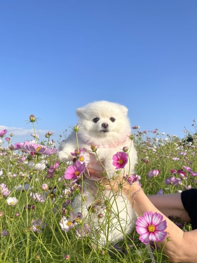 한두레식당 이미지