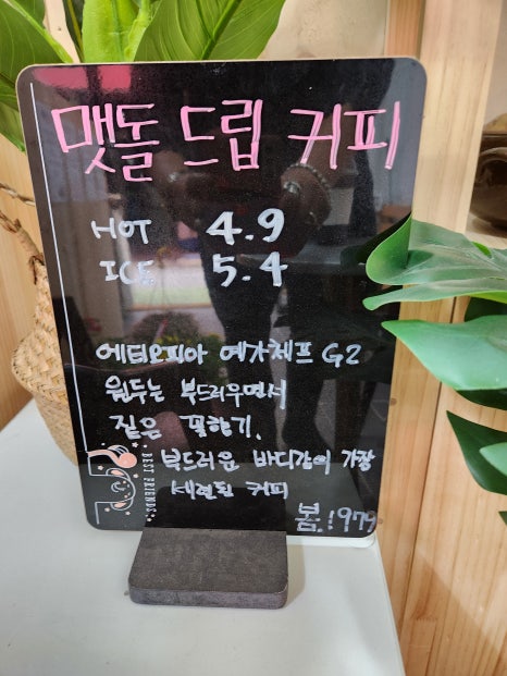 봄.1979 이미지