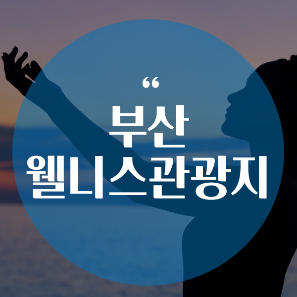 주식회사 모두를위한관광 이미지