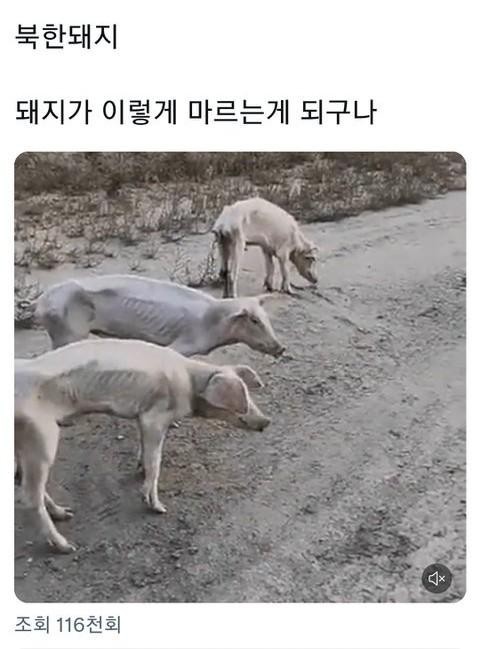 퍼니프랜즈 이미지