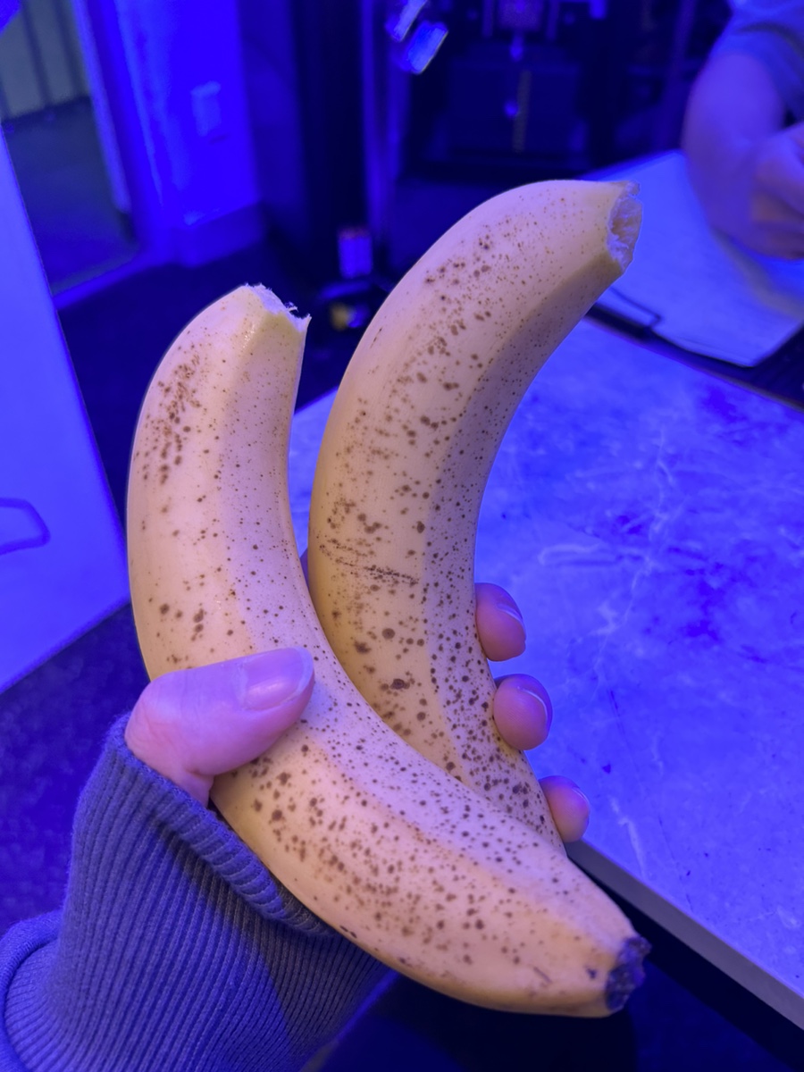 이디야삼전역점 이미지