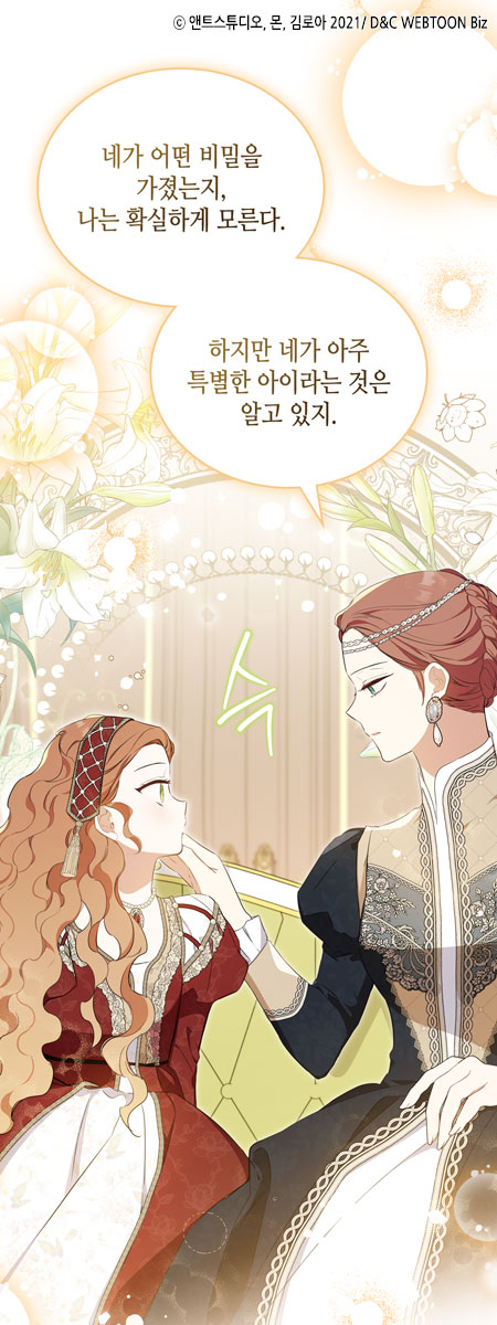 비나넷 이미지