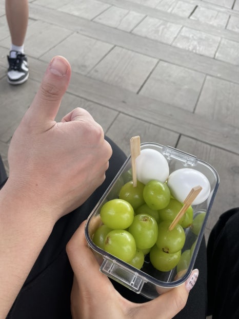핫바꼬밥 이미지