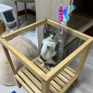 시유편의점 이미지