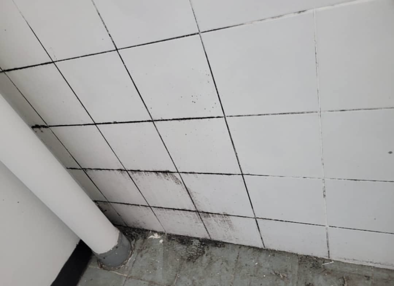 크린손길 이미지