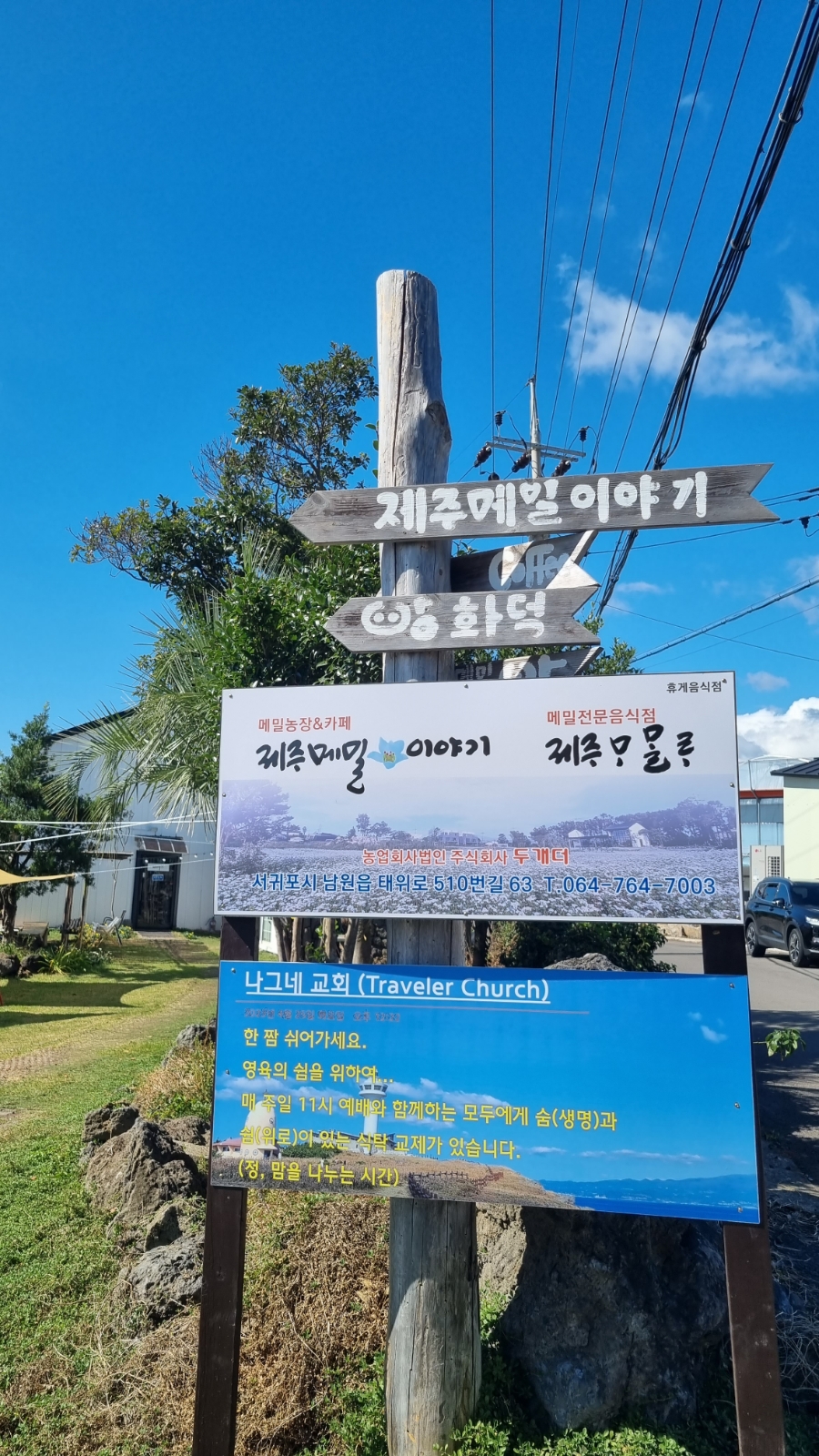 메밀이야기 이미지