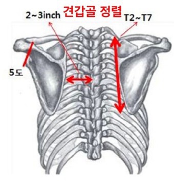 와이핏 이미지
