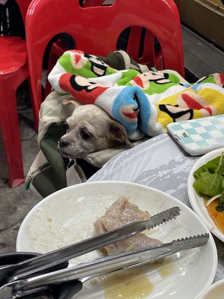 부일곱창 이미지