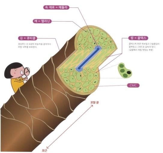 헤어브로시 이미지