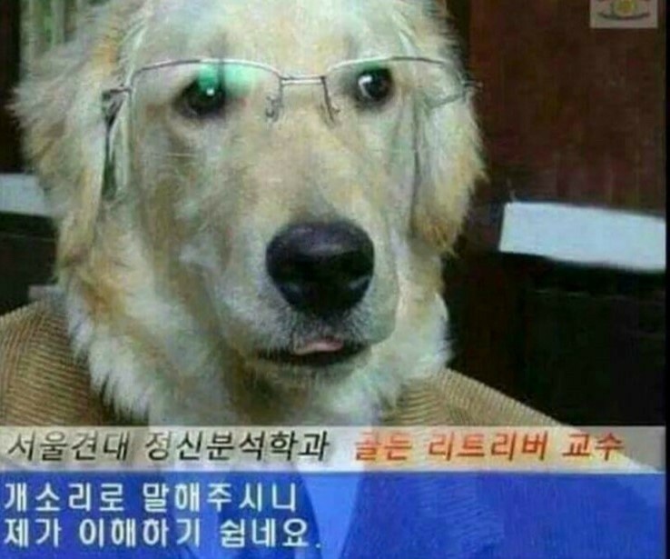 피읍 이미지
