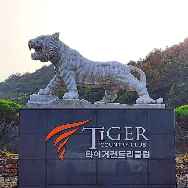 타이거골프 이미지