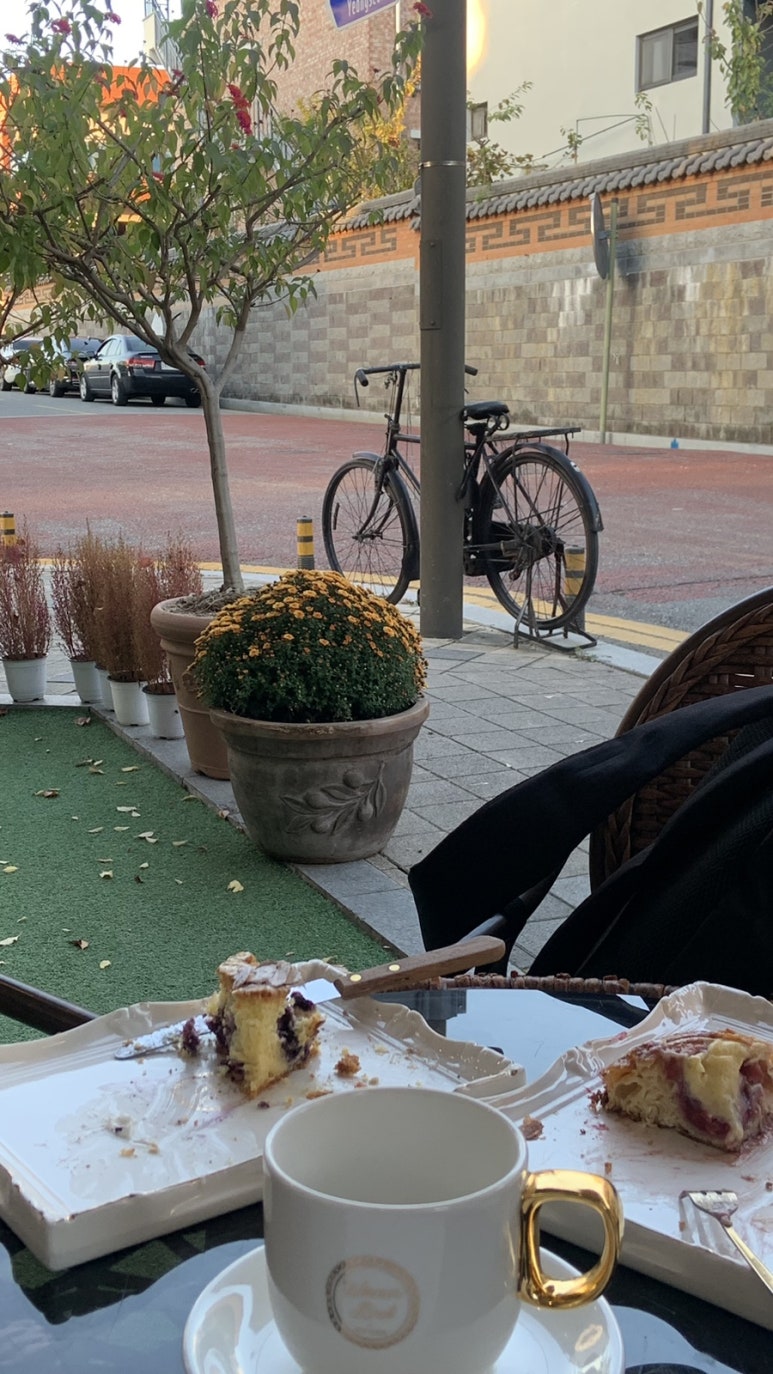 비너브로트 이미지