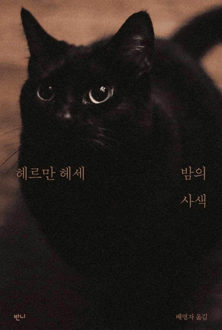 지나가다봄 이미지