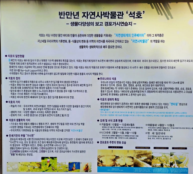 해파랑길 39코스 바우길 05구간 이미지