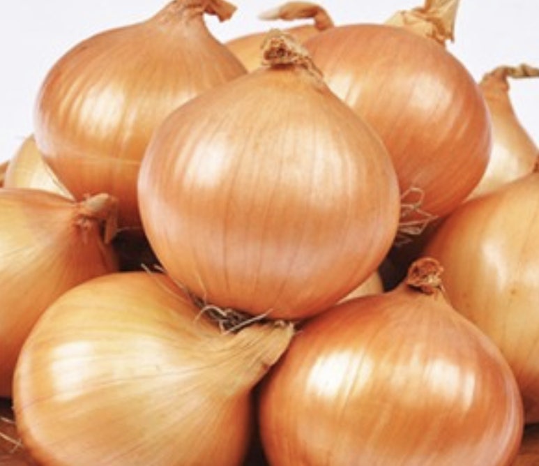 팀스톤짐 이미지