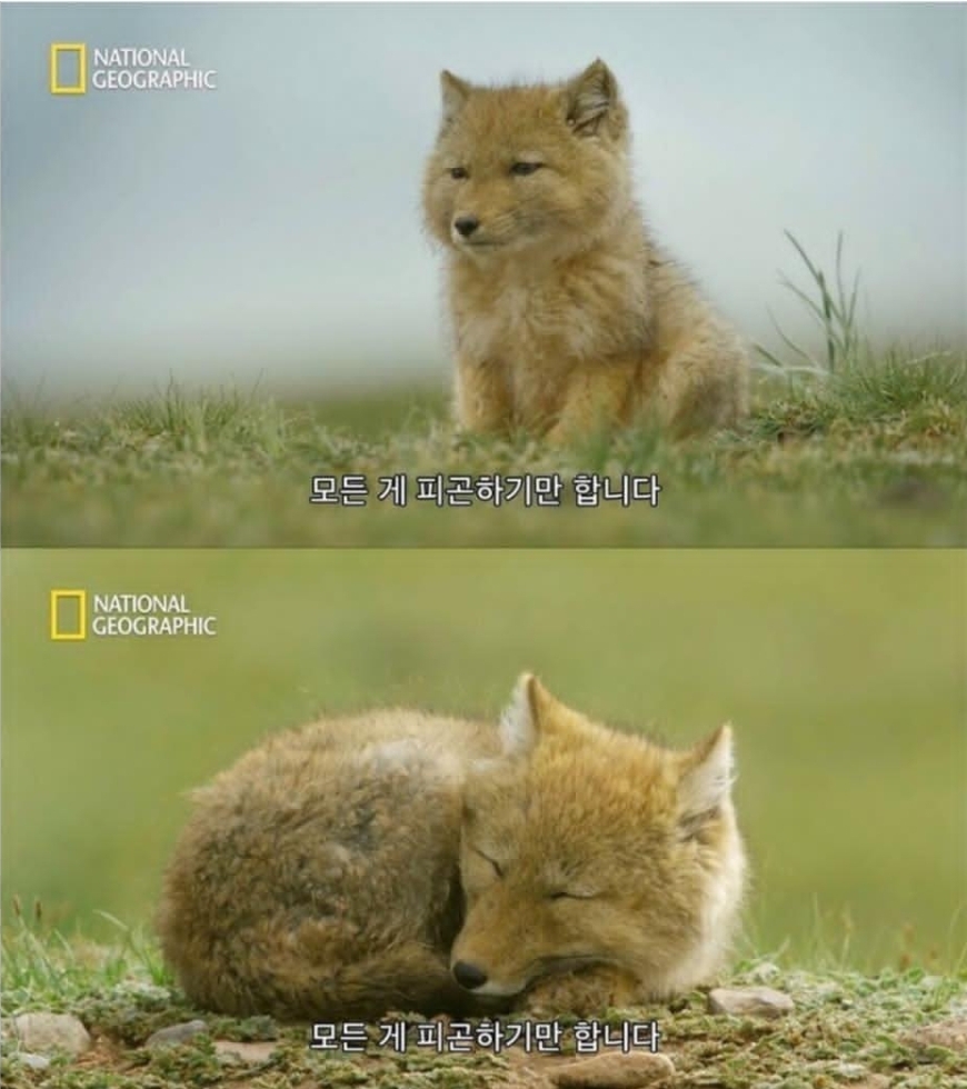 빵공원 이미지