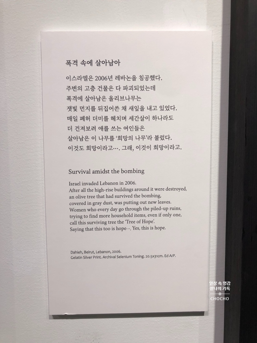 카페 올리브나무 이미지