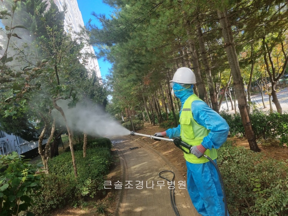 큰솔조경나무병원 이미지