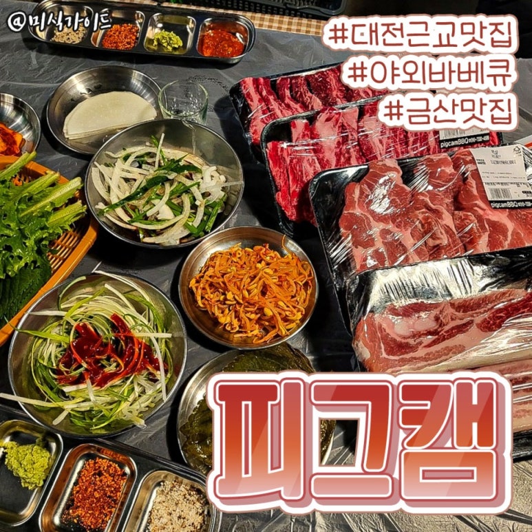 피그캠 이미지