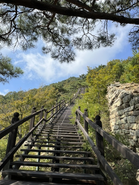 영인조선곰탕 이미지
