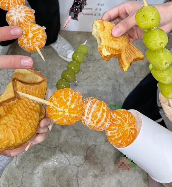댕댕플레이트 이미지