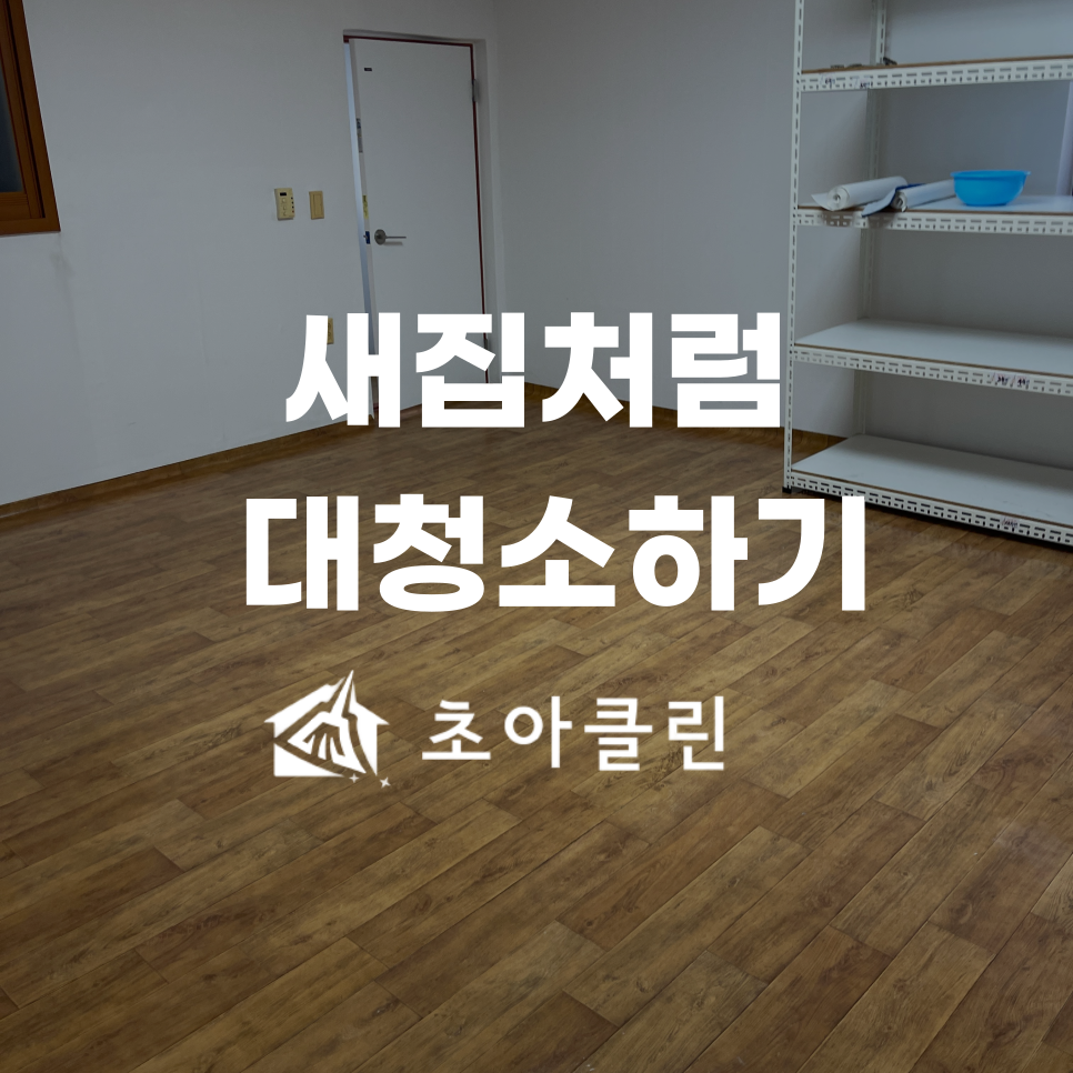 초아클린 이미지