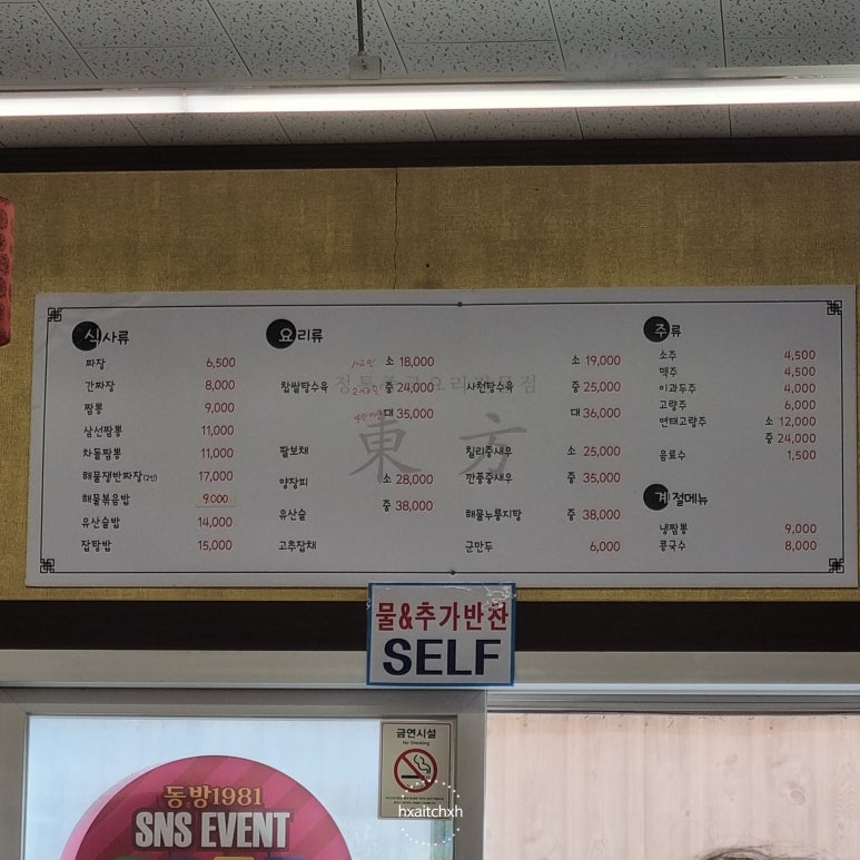 동방1981 이미지