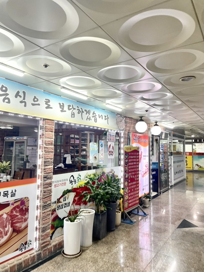 송림 사진 8