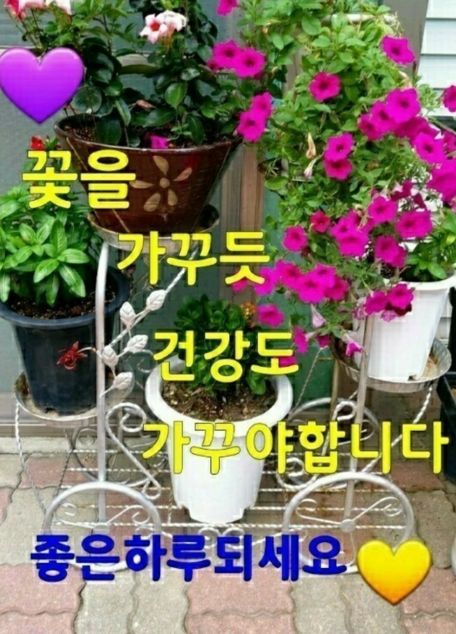 전원모텔 이미지