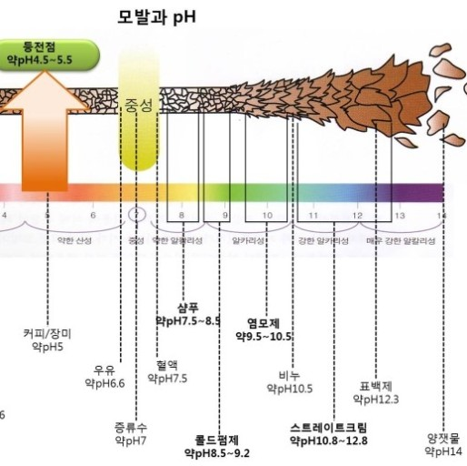 헤어브로시 이미지