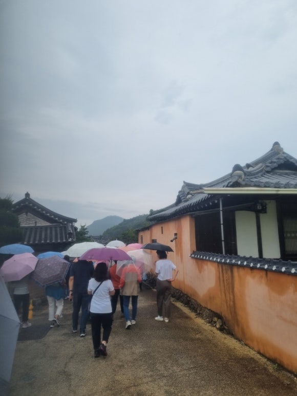 토박이젖갈 이미지