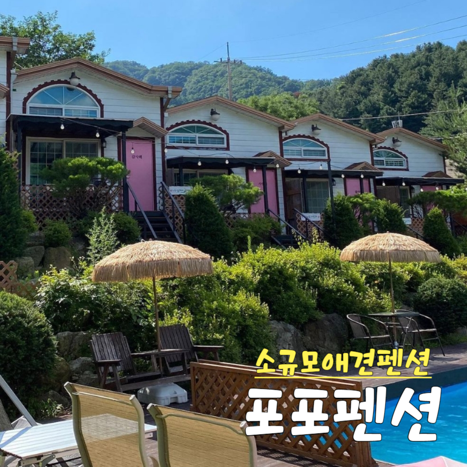 포포카롱 이미지