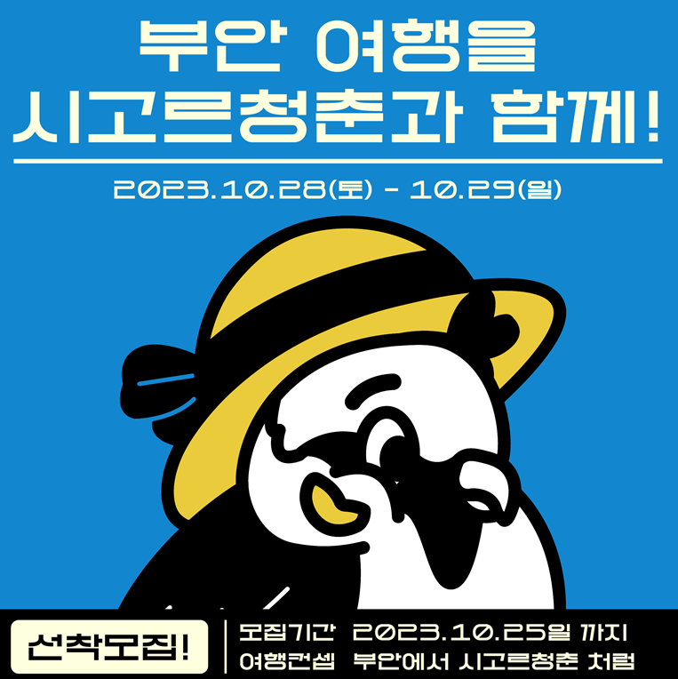 시고르청춘 이미지