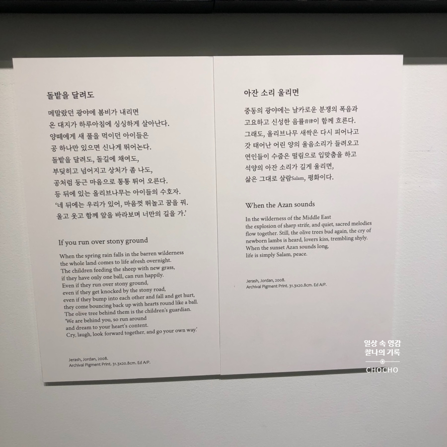 카페 올리브나무 이미지