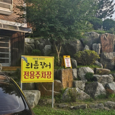 의픔장어 이미지