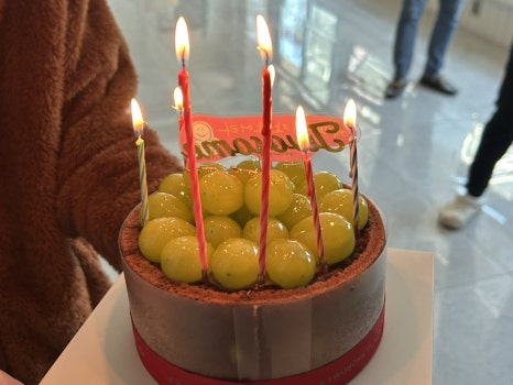 리사장네 이미지