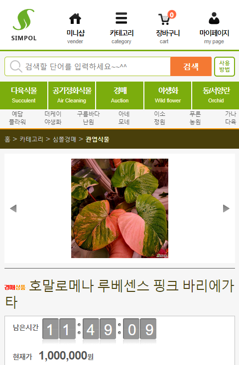 묘한정원 이미지