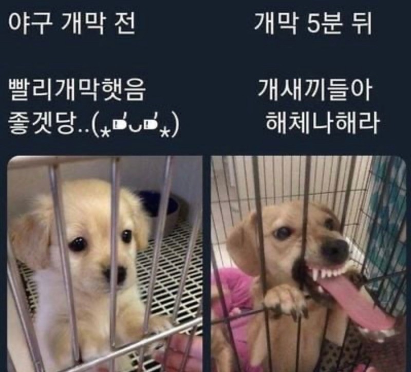 카페;혜 이미지