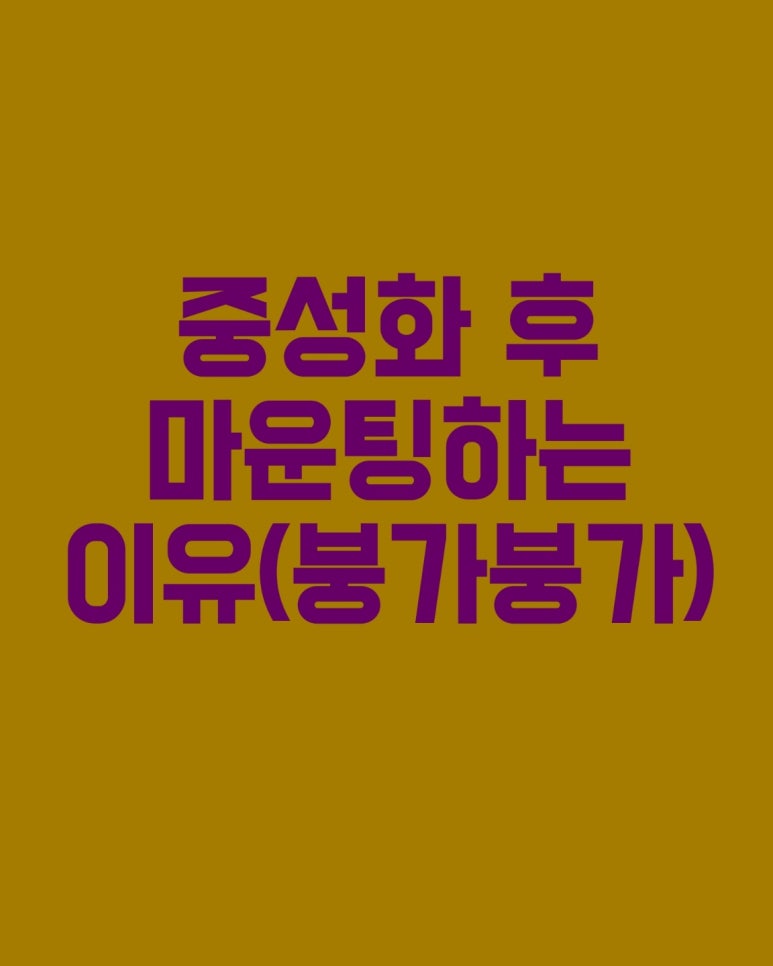 중성화 후 마운팅하는 이유 (붕가붕가)