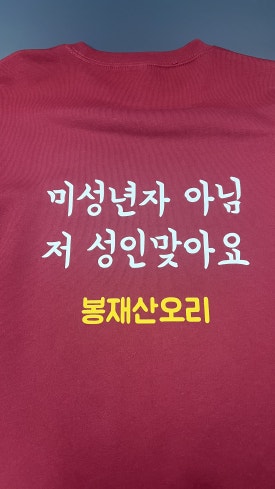 봉재산오리 이미지