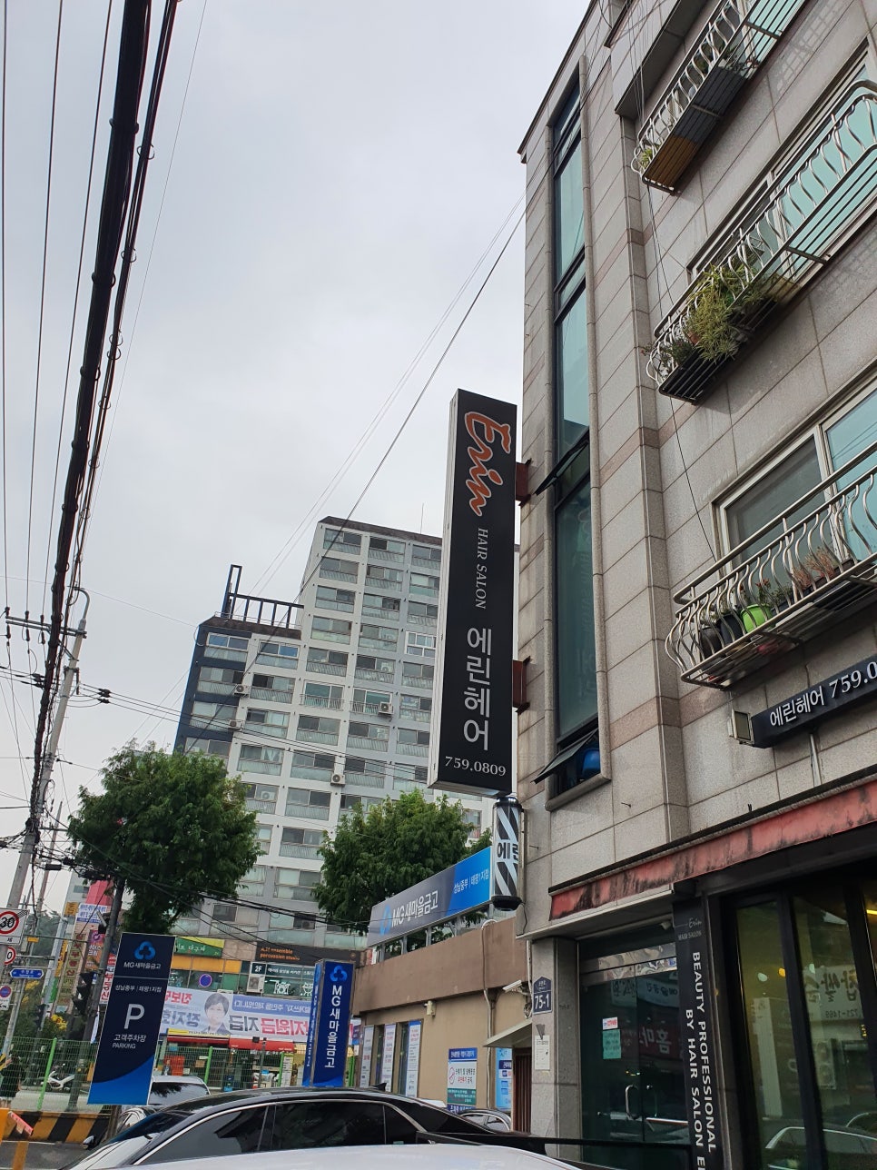 에린헤어 이미지