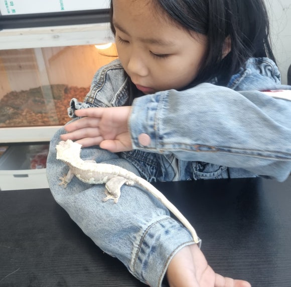 파블박사 이미지