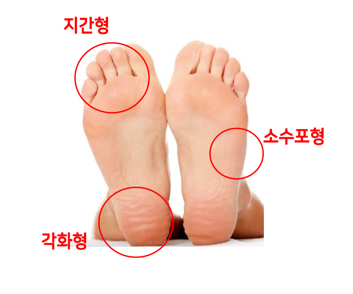 정우의학서적 이미지
