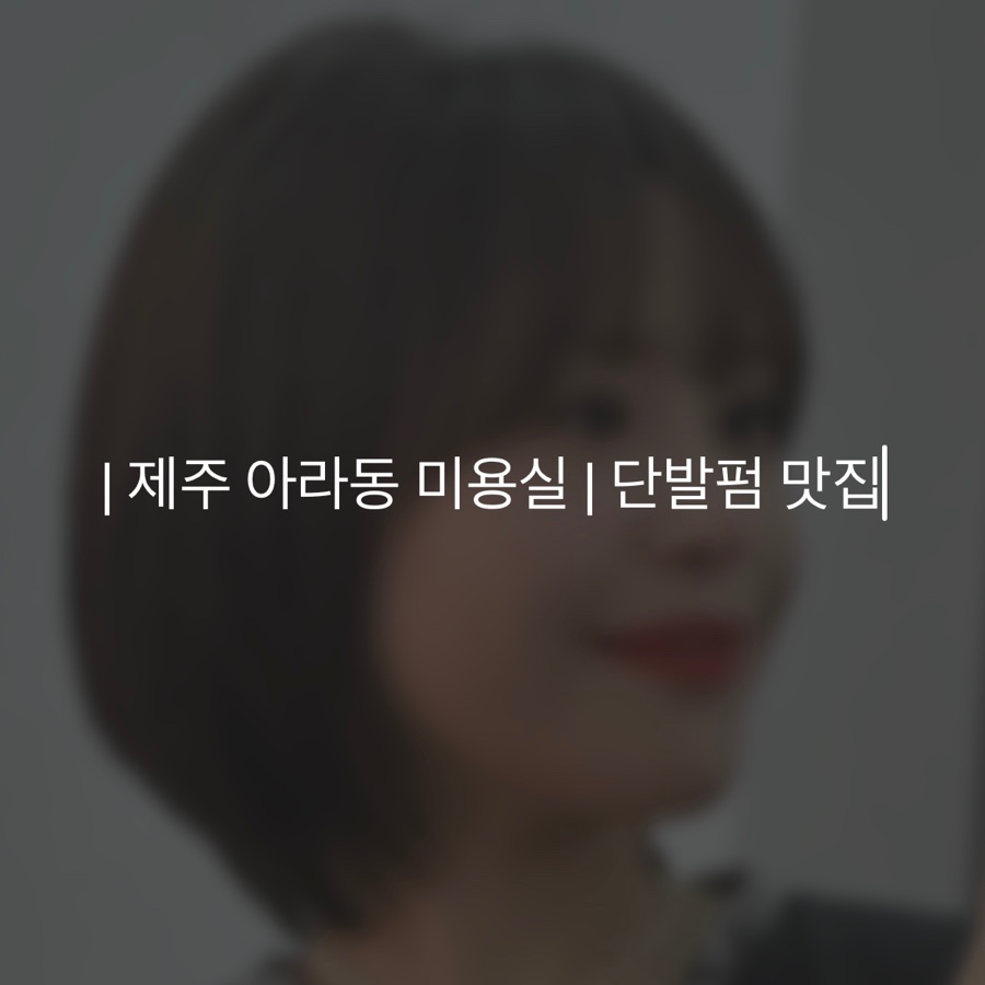 엘시크 이미지